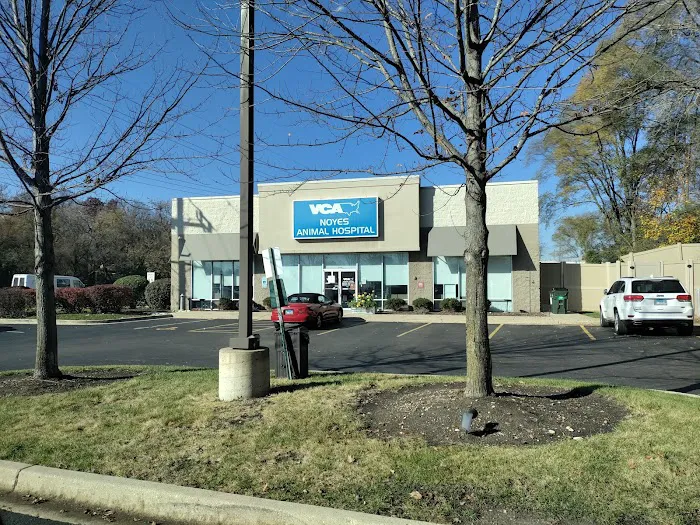 VCA Noyes Animal Hospital Picture 10