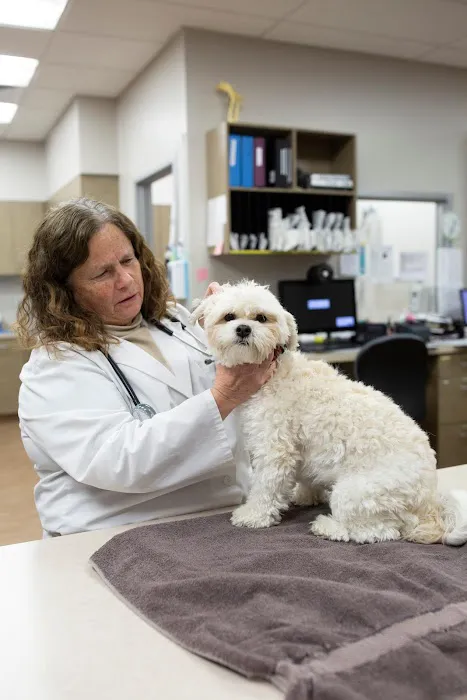VCA Noyes Animal Hospital Picture 9
