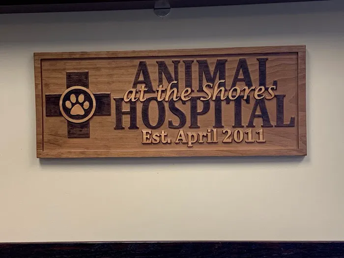Animal Hospital At The Shores Picture 3