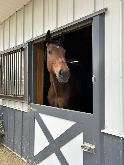 Iverson Equine Practice Picture 1