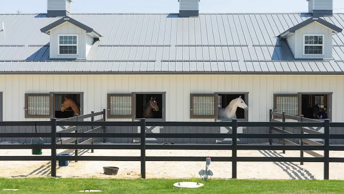 Iverson Equine Practice Picture 3