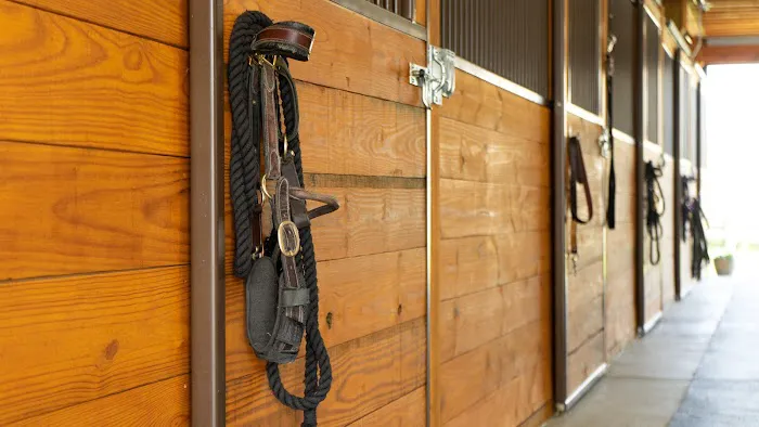 Iverson Equine Practice Picture 6