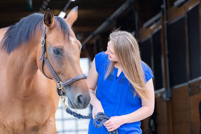 Iverson Equine Practice Picture 9