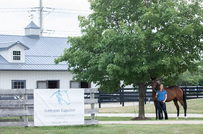 Iverson Equine Practice Picture 8