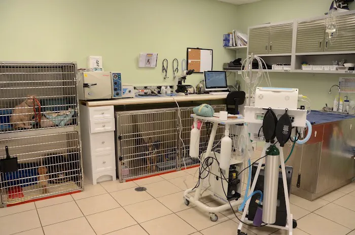 Gilmer Road Animal Hospital Picture 4