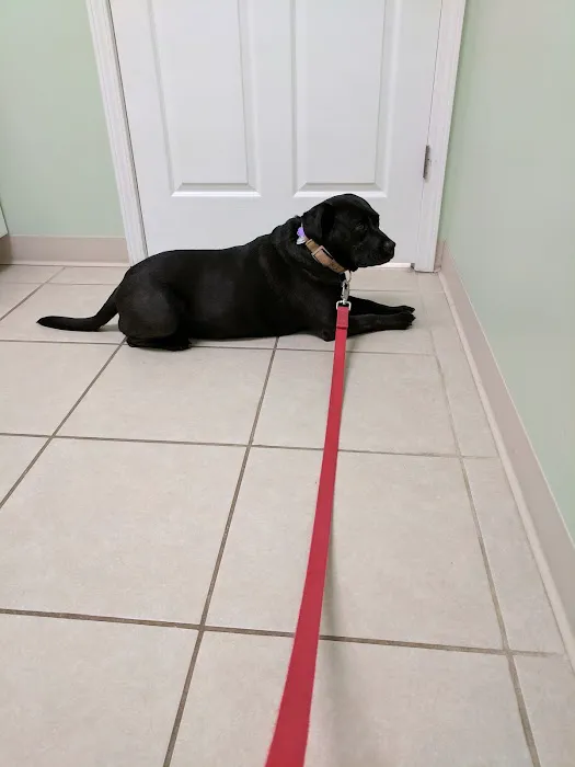 Gilmer Road Animal Hospital Picture 9