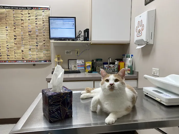 Randall Oaks Animal Hospital Picture 6
