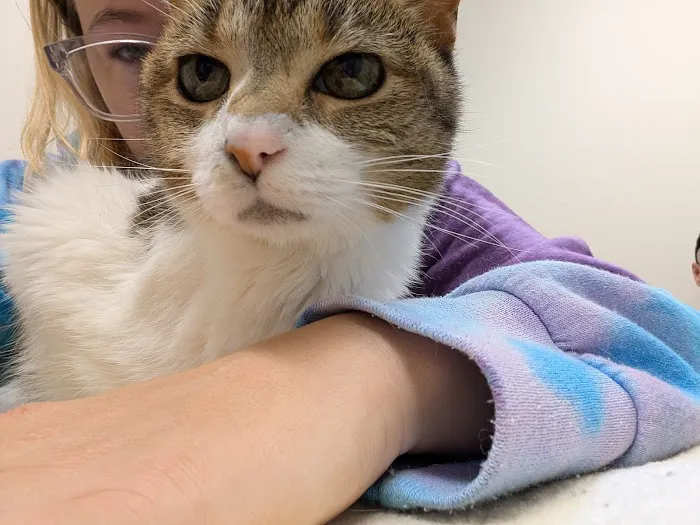 All Paws Veterinary Clinic Picture 1