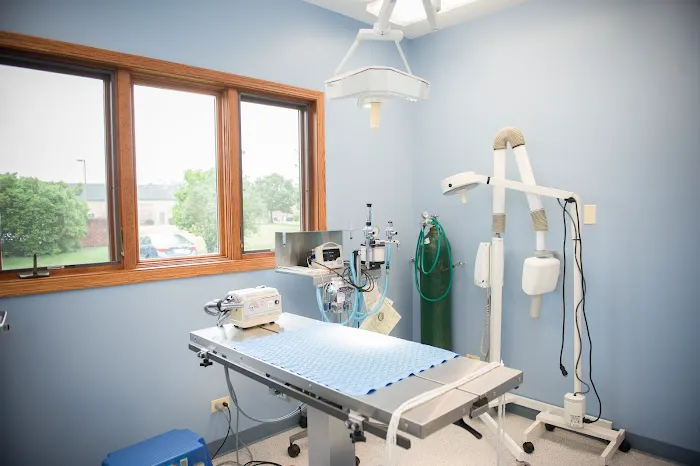 All Paws Veterinary Clinic Picture 8