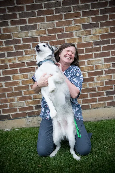 All Paws Veterinary Clinic Picture 9