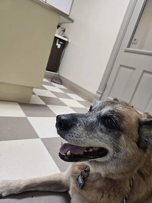 Family Pet Care Clinic Picture 1