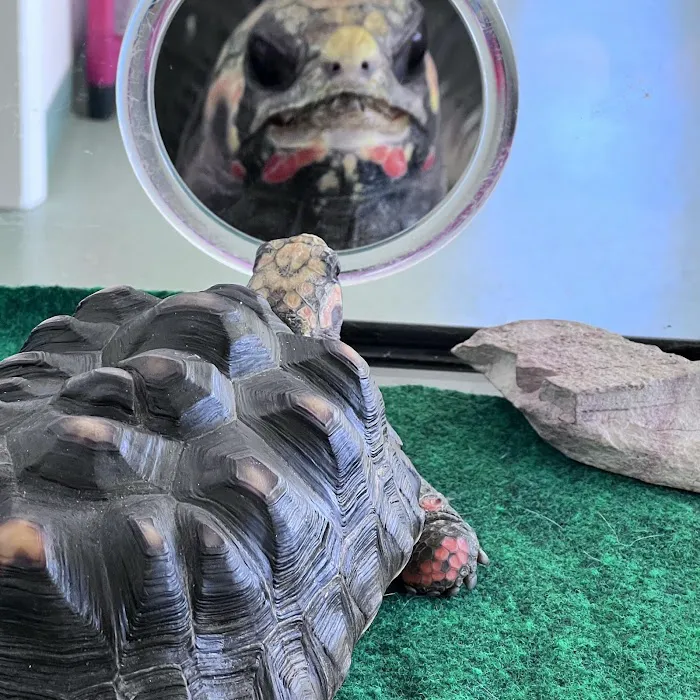 Algonquin Animal Clinic Picture 7