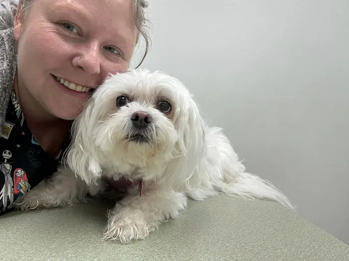 Algonquin Animal Clinic Picture 6