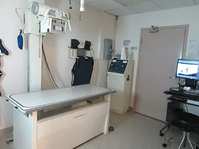 Dundee Animal Hospital of Algonquin Picture 4