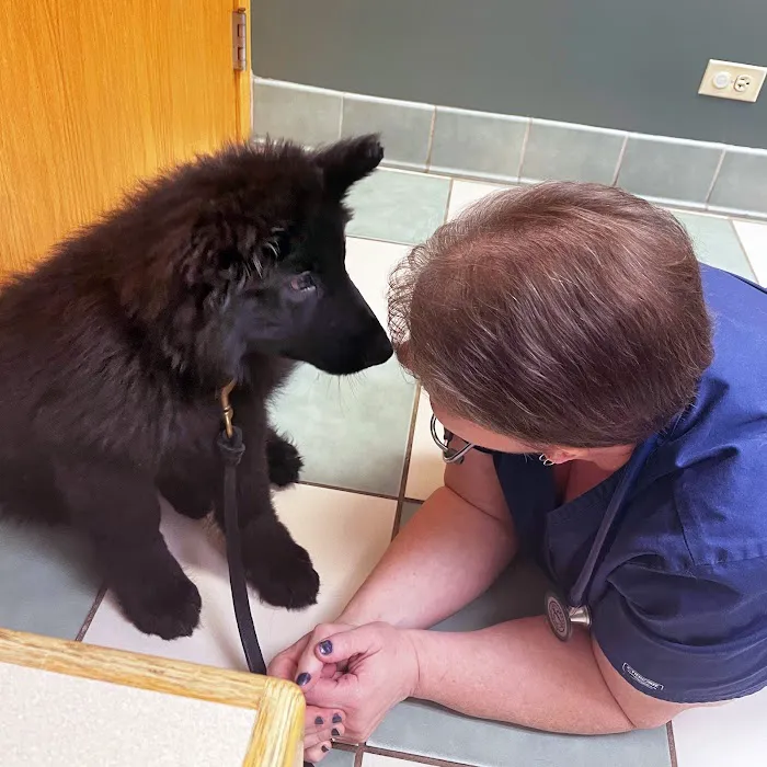 Dundee Animal Hospital of Algonquin Picture 5