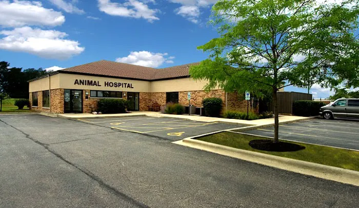 Dundee Animal Hospital of Algonquin Picture 10