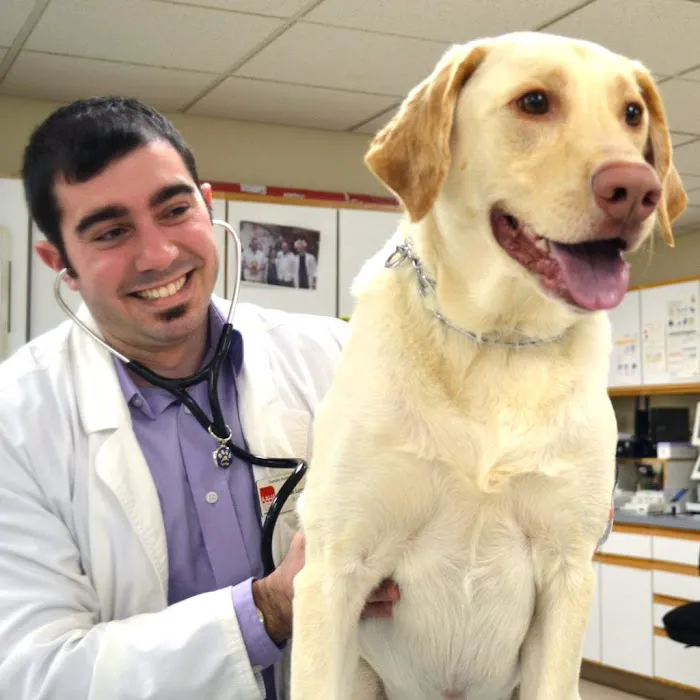 Dundee Animal Hospital of Algonquin Picture 7