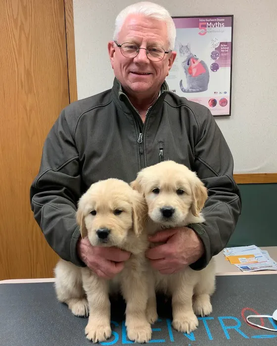 Dundee Animal Hospital of Algonquin Picture 8