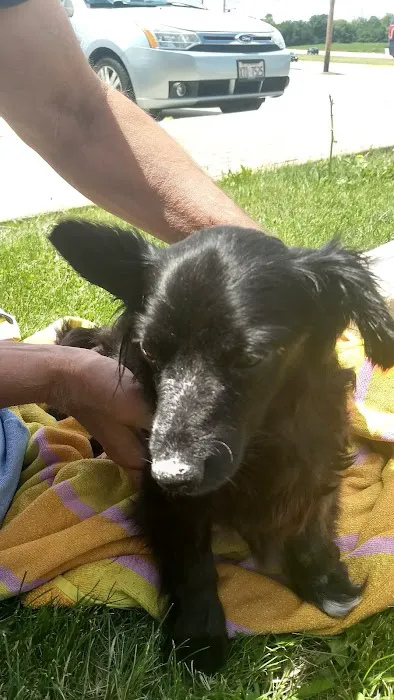 Huntley Animal Care Picture 1