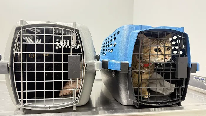 Huntley Animal Care Picture 4