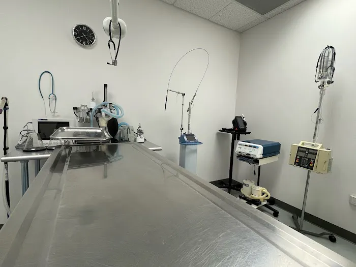 Animal Hospital of Randall Plaza Picture 7