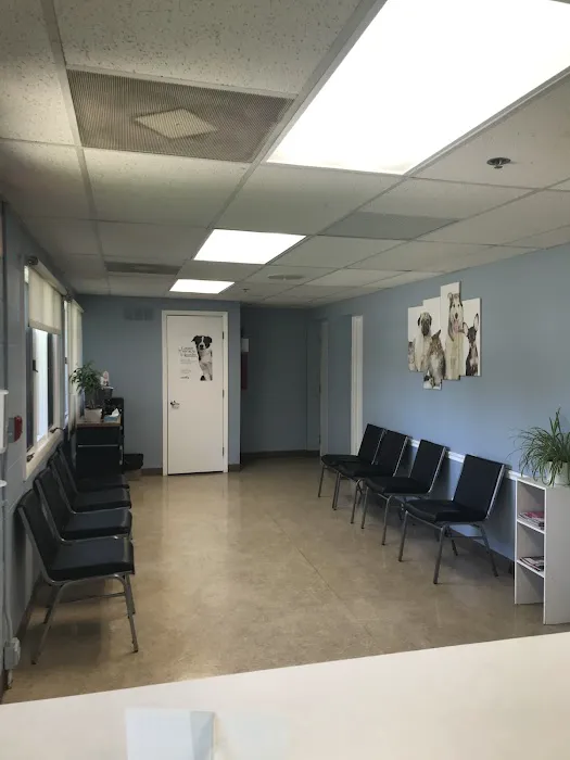 VCA Hawthorn Animal Hospital Picture 3