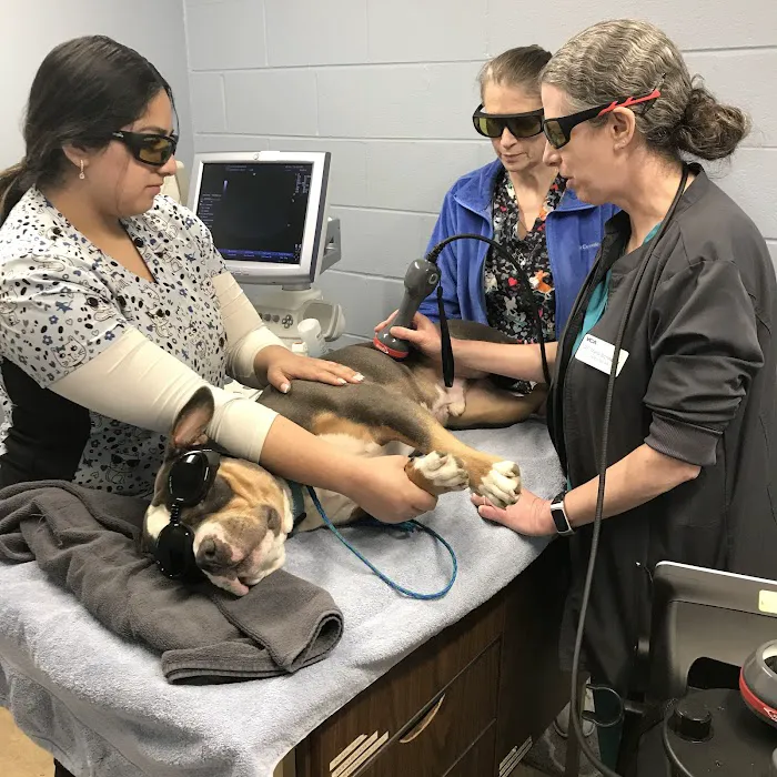 VCA Hawthorn Animal Hospital Picture 10