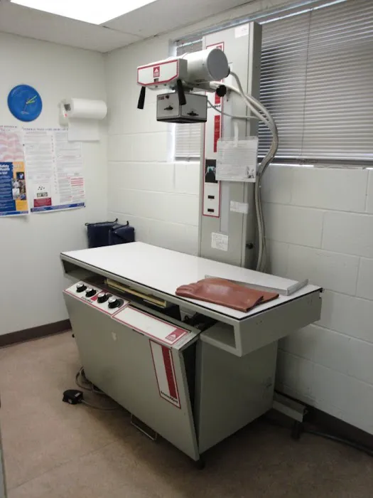 VCA Hawthorn Animal Hospital Picture 6