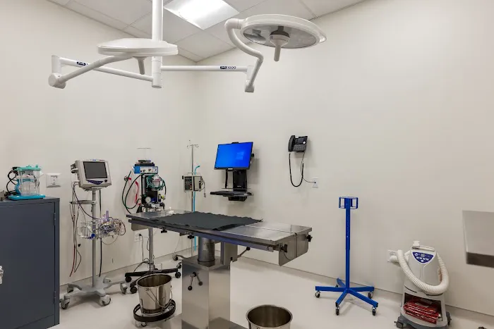 Premier Veterinary Group - Mundelein Picture 1