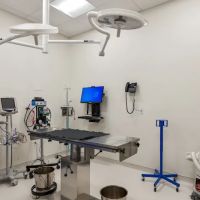 Premier Veterinary Group - Mundelein ico