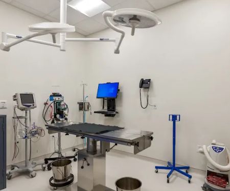 Premier Veterinary Group - Mundelein