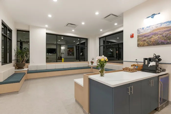 Premier Veterinary Group - Mundelein Picture 6