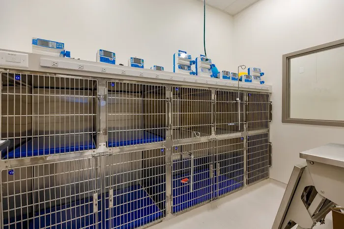 Premier Veterinary Group - Mundelein Picture 4