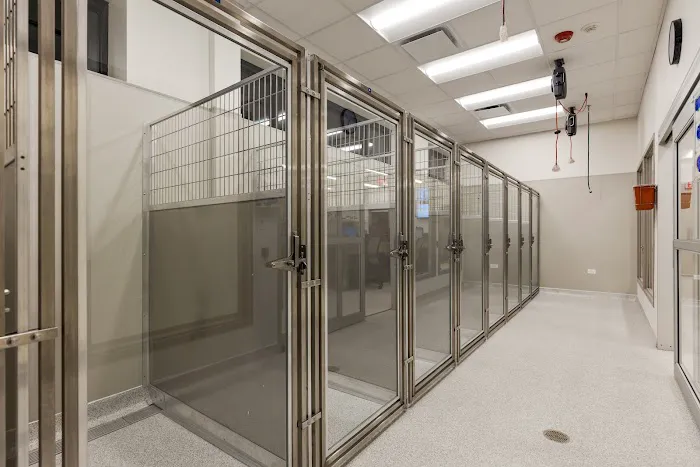 Premier Veterinary Group - Mundelein Picture 9