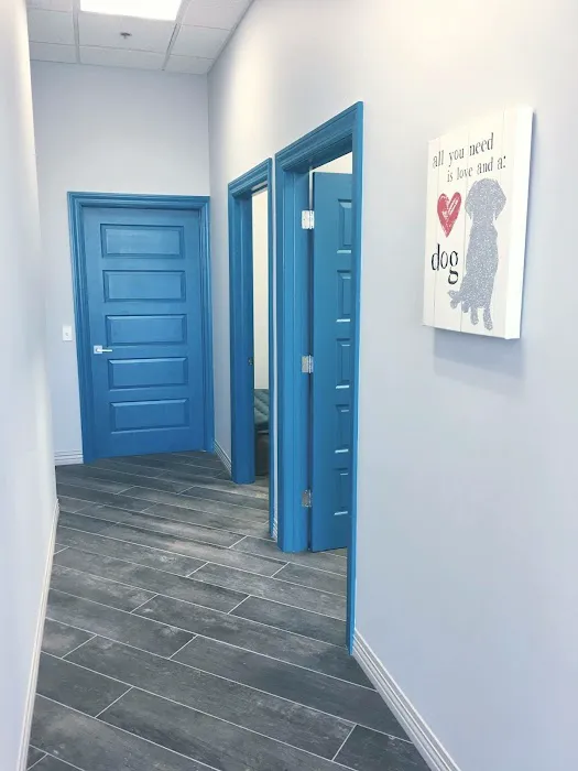 Townline Animal Hospital Picture 7