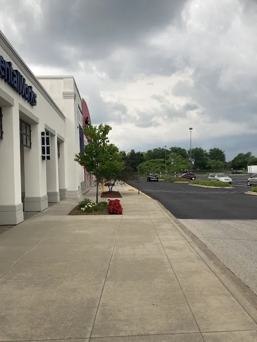 Townline Animal Hospital Picture 5