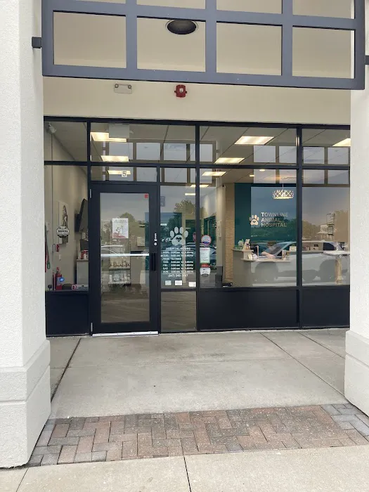 Townline Animal Hospital Picture 3