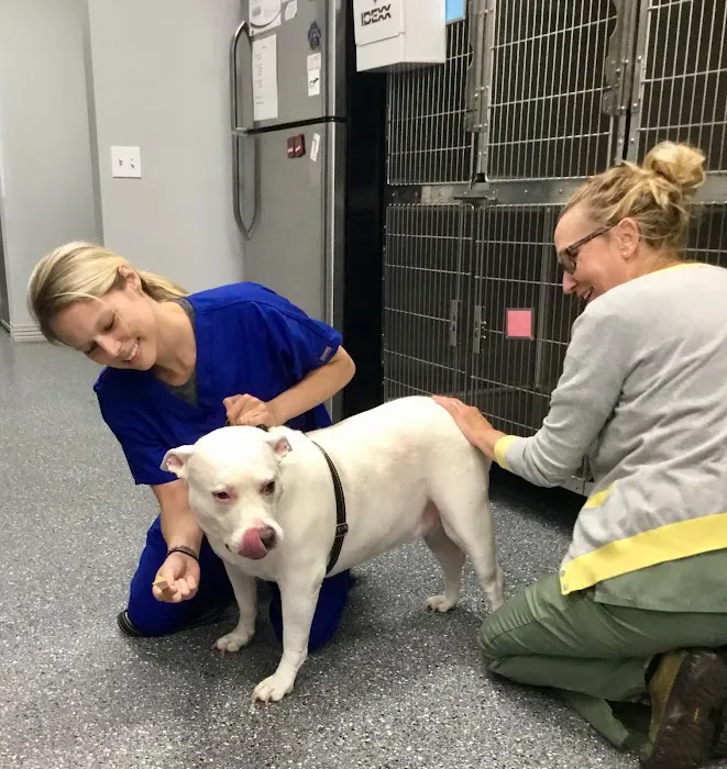 Townline Animal Hospital Picture 9