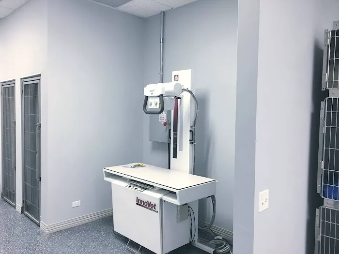 Townline Animal Hospital Picture 10