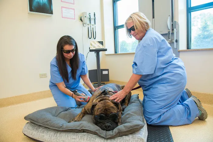 Ruth Helen Wolf Animal Clinic and Hospital Picture 3