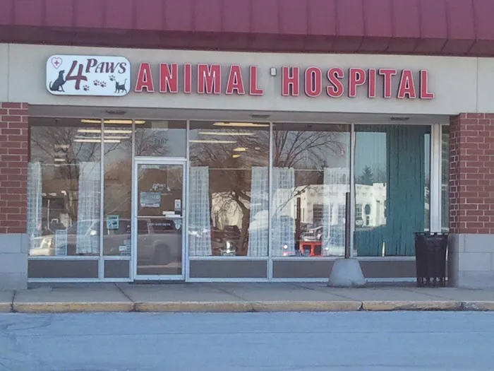 4 Paws Animal Hospital Picture 9