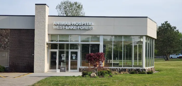 Animal Hospital of West Lake Forest Picture 6