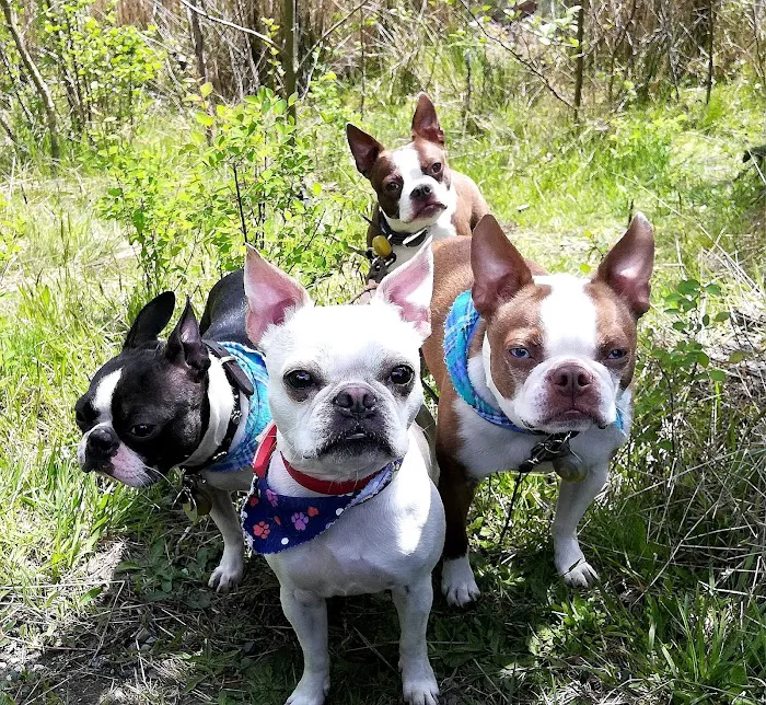 Ridgetop Animal Hospital Picture 5