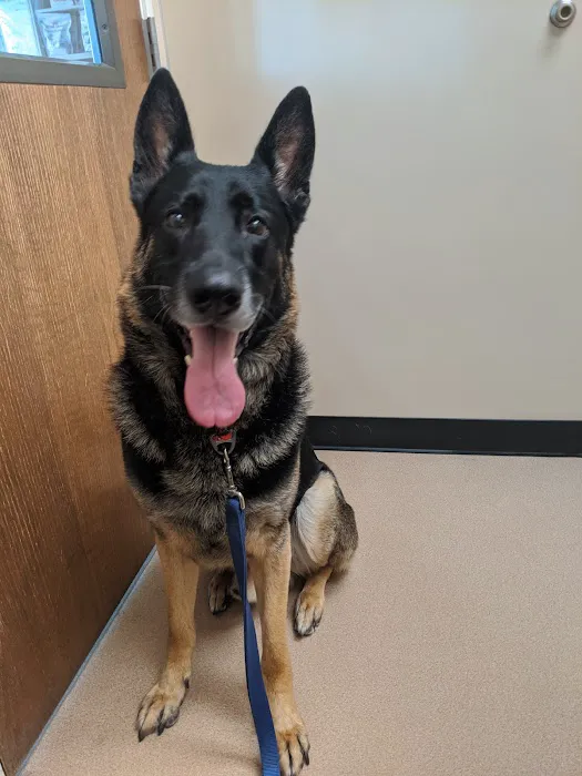 Ridgetop Animal Hospital Picture 7
