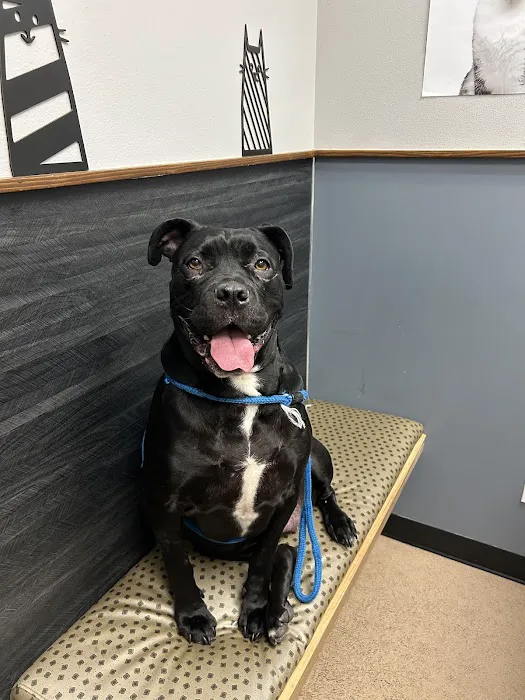 Ridgetop Animal Hospital Picture 8