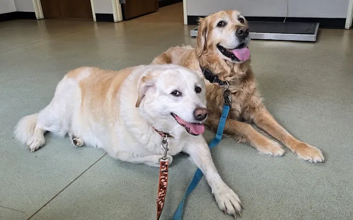 Ridgetop Animal Hospital Picture 10