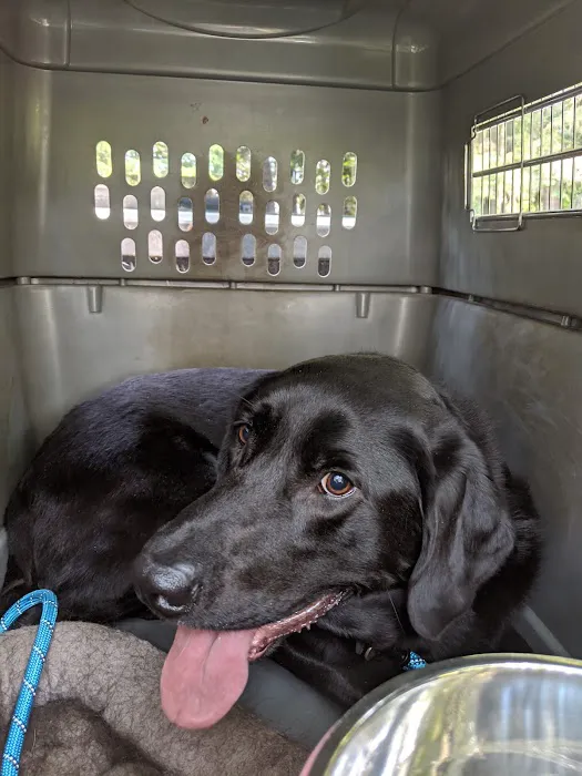 Day Road Animal Hospital Picture 6