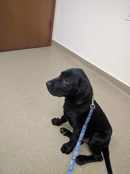 Day Road Animal Hospital Picture 9