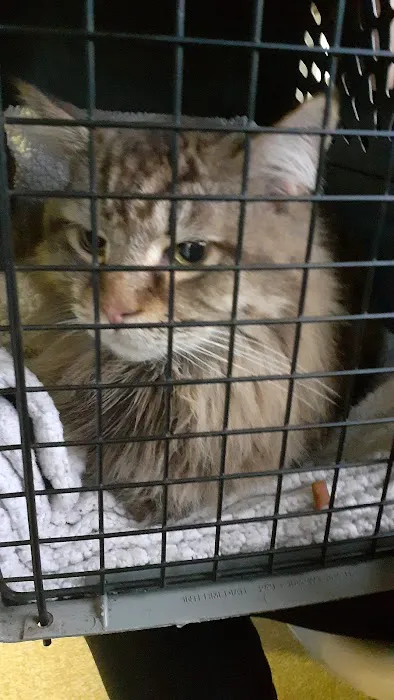 Vets Animal Hospital Picture 1
