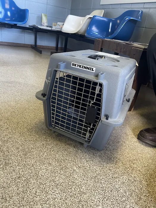 Vets Animal Hospital Picture 3